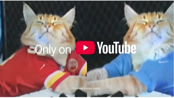Cat Videos Go Big League